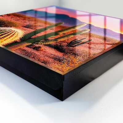 Schlüsselbox für die Wandmontage Wüstenwesten Modell
