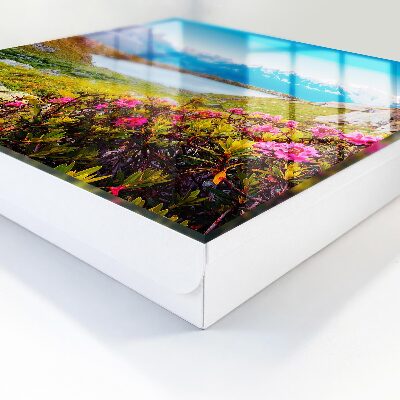 Schlüsselbox für die Wand mit Berglandschaft Motiv