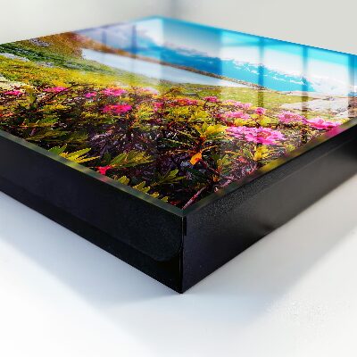 Schlüsselbox für die Wand mit Berglandschaft Motiv