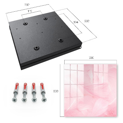 Schlüsselbox mit Motiv rosa Federn