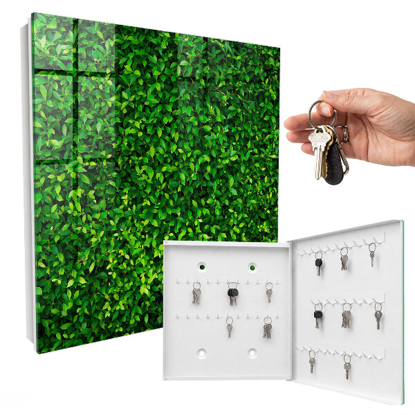 Schlüsselbox für die Wand in der Ausführung Grüner Garten