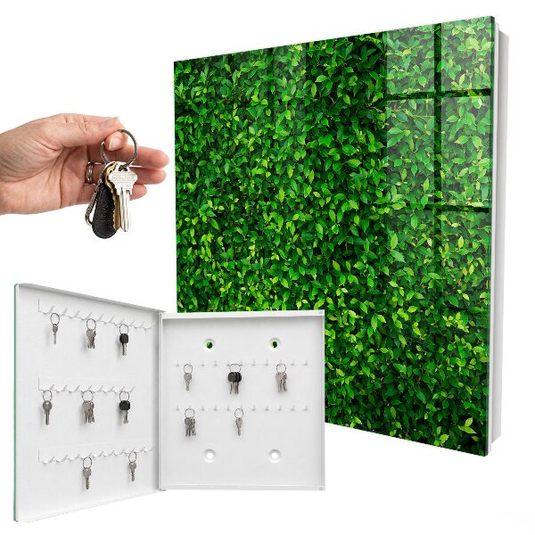Schlüsselbox für die Wand in der Ausführung Grüner Garten