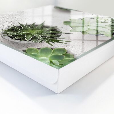 Schlüsselbox zur Wandmontage mit Motiv grüne Sukkulenten