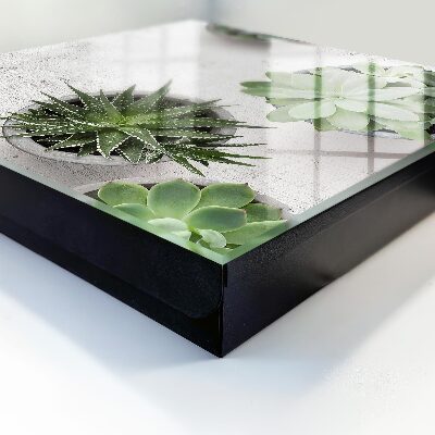 Schlüsselbox zur Wandmontage mit Motiv grüne Sukkulenten