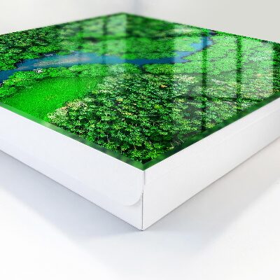 Schlüsselkasten mit Motiv Grüne Wälder