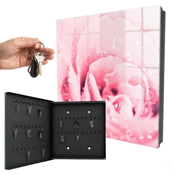Schlüsselbox für die Wand in der Ausführung Rosa Delikatesse
