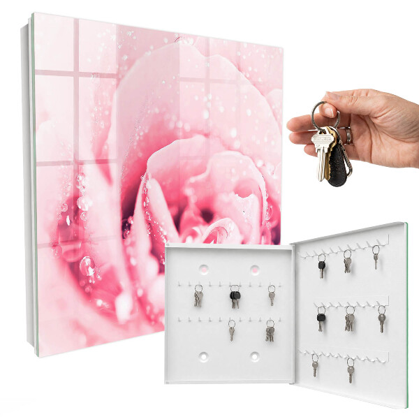 Schlüsselbox für die Wand in der Ausführung Rosa Delikatesse