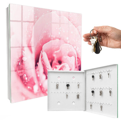 Schlüsselbox für die Wand in der Ausführung Rosa Delikatesse