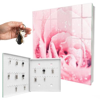 Schlüsselbox für die Wand in der Ausführung Rosa Delikatesse