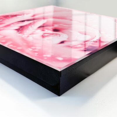 Schlüsselbox für die Wand in der Ausführung Rosa Delikatesse