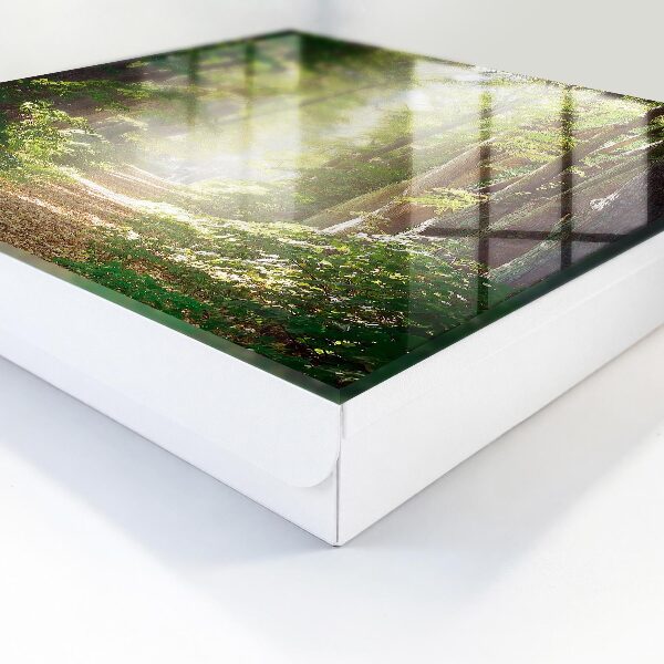 Schlüsselkasten mit Waldlandschaft-Motiv