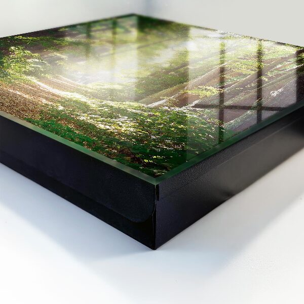 Schlüsselkasten mit Waldlandschaft-Motiv