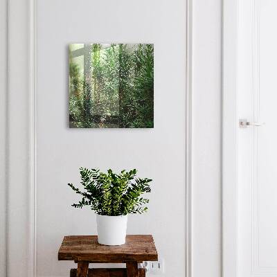 Schlüsselbox für die Wand mit Motiv Spinnennetz im Wald