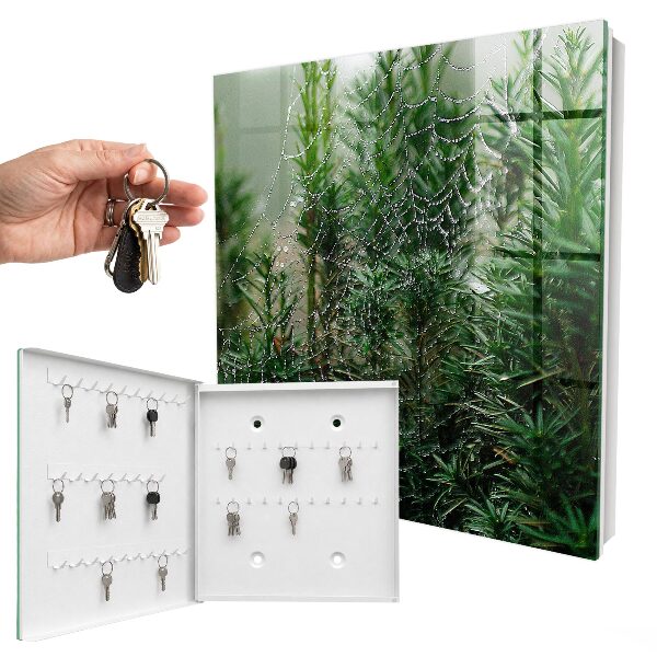 Schlüsselbox für die Wand mit Motiv Spinnennetz im Wald