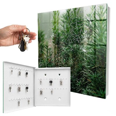 Schlüsselbox für die Wand mit Motiv Spinnennetz im Wald