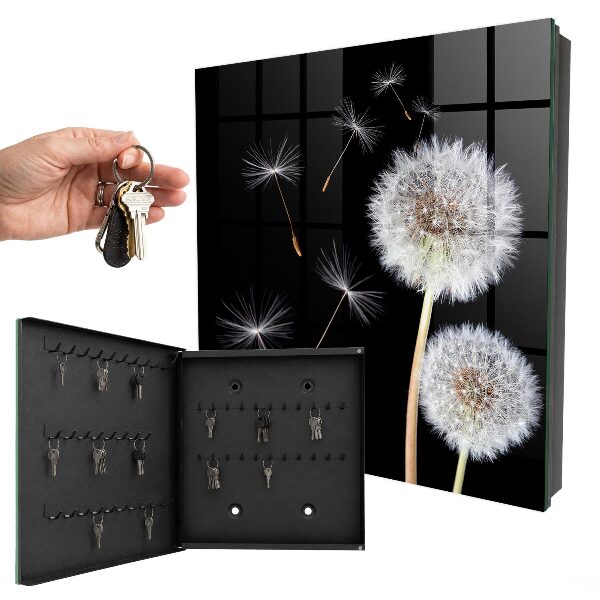 Schlüsselbox mit Motiv zarte Löwenzahnblüten