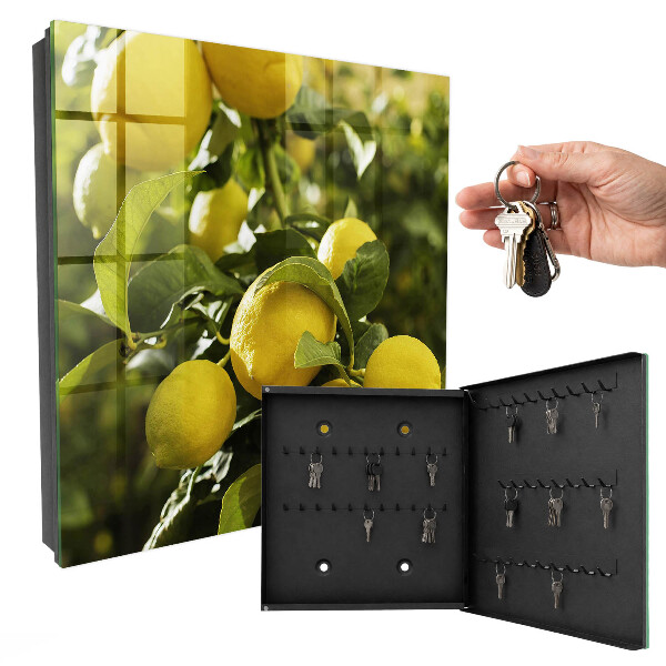 Schlüsselbox zur Wandmontage mit Motiv Saftige Frische