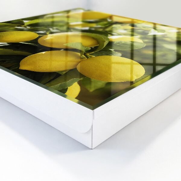 Schlüsselbox zur Wandmontage mit Motiv Saftige Frische