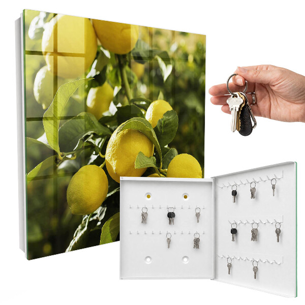 Schlüsselbox zur Wandmontage mit Motiv Saftige Frische