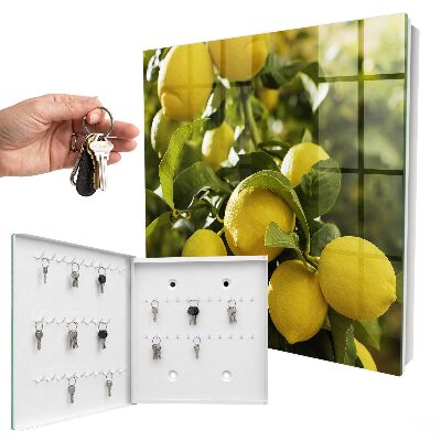 Schlüsselbox zur Wandmontage mit Motiv Saftige Frische