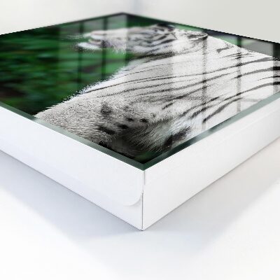 Schlüsselkasten mit Motiv Weißer Tiger