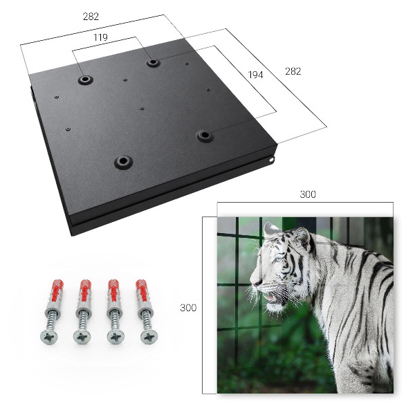 Schlüsselkasten mit Motiv Weißer Tiger