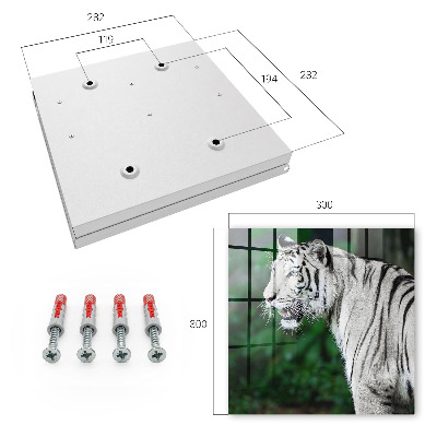 Schlüsselkasten mit Motiv Weißer Tiger