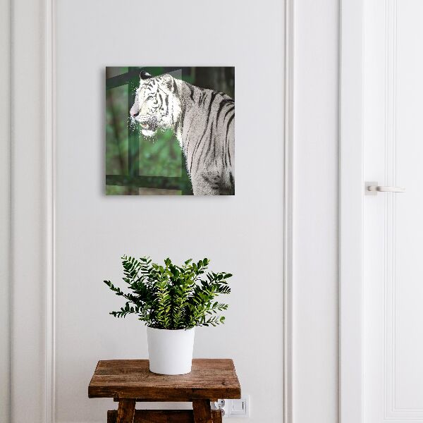 Schlüsselkasten mit Motiv Weißer Tiger