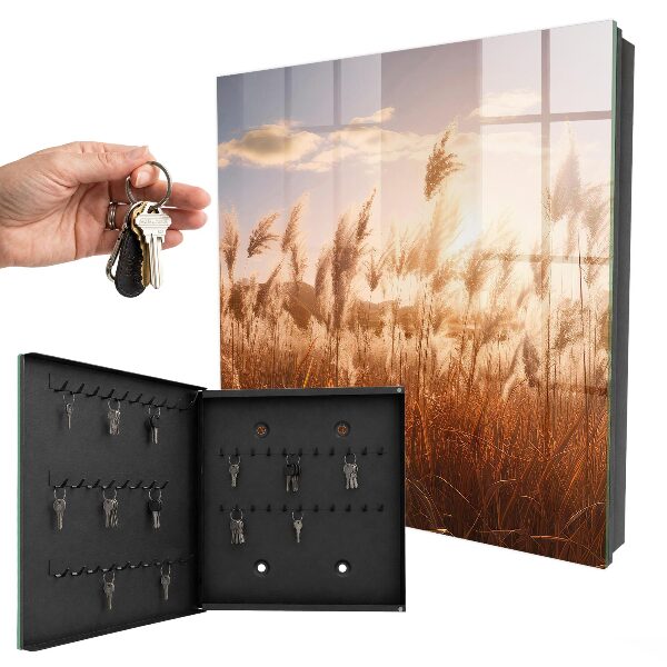 Schlüsselbox mit Motiv Sonnenuntergang im Gras
