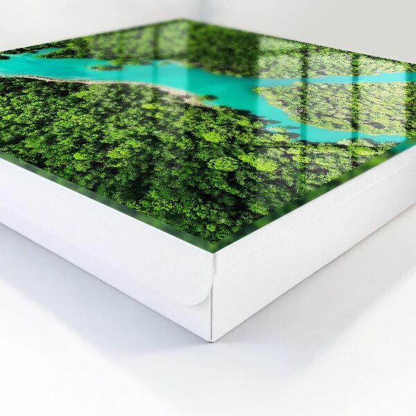 Schlüsselbox in Grünem Paradies Design