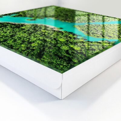 Schlüsselbox in Grünem Paradies Design