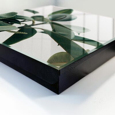 Schlüsselbox zur Wandmontage mit Motiv Ficusblätter