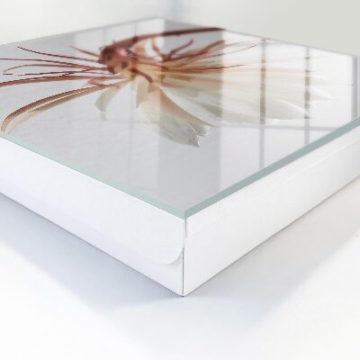 Schlüsselbox in natürlichem Design