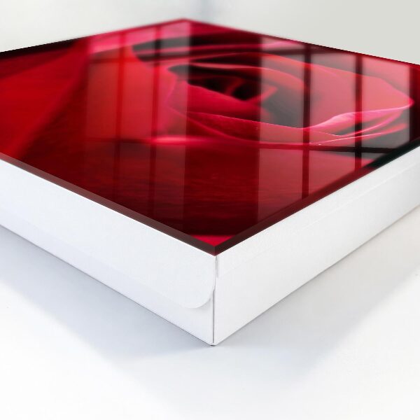 Schlüsselbox mit Motiv Rose in Nahaufnahme