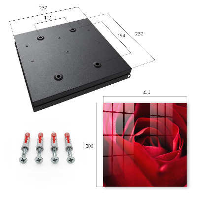 Schlüsselbox mit Motiv Rose in Nahaufnahme