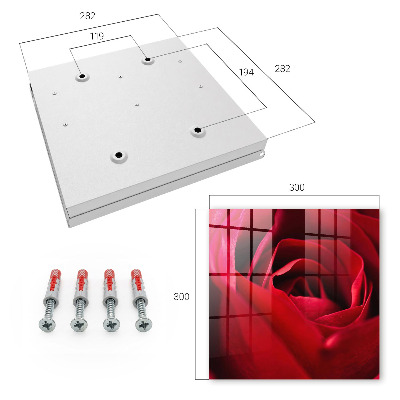 Schlüsselbox mit Motiv Rose in Nahaufnahme
