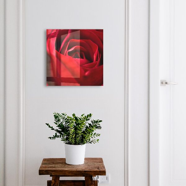 Schlüsselbox mit Motiv Rose in Nahaufnahme