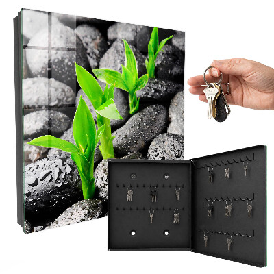 Schlüsselbox für die Wand in Grün mit Naturmotiv