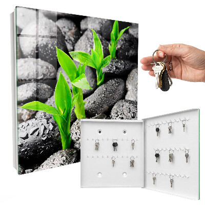 Schlüsselbox für die Wand in Grün mit Naturmotiv