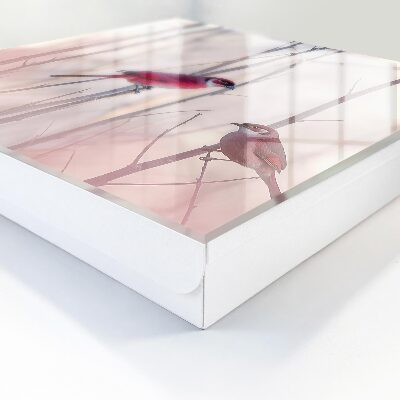 Schlüsselbox zur Wandmontage mit Motiv Zwei Vögel