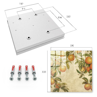 Schlüsselkasten mit Motiv Orangen und Natur