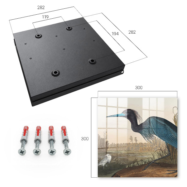 Schlüsselbox mit Motiv Exotischer Vogel