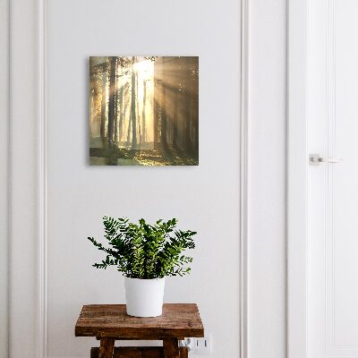 Schlüsselbox mit Motiv Licht des Waldes