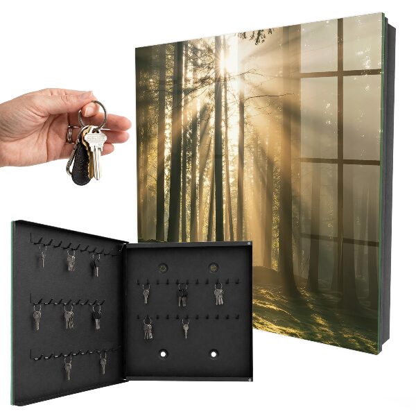 Schlüsselbox mit Motiv Licht des Waldes