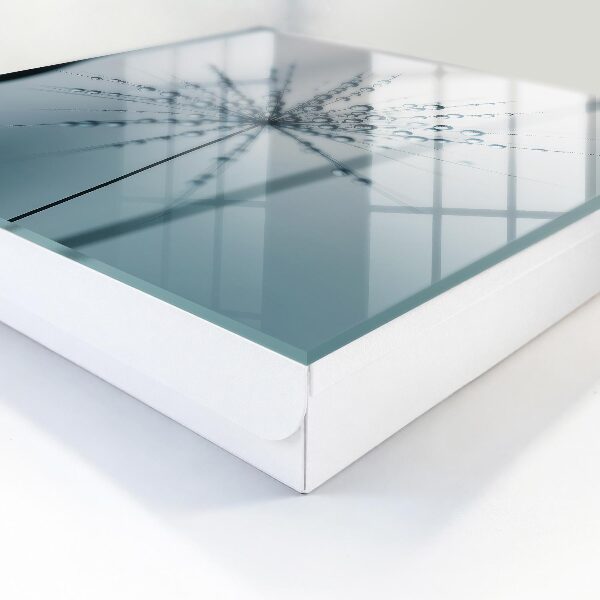 Schlüsselbox zur Wandmontage mit Motiv Löwenzahn und Wassertropfen
