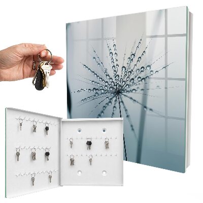 Schlüsselbox zur Wandmontage mit Motiv Löwenzahn und Wassertropfen