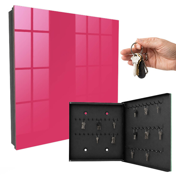 Schlüsselbox in Energetischem Rosa