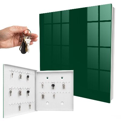 Schlüsselbox für die Wand in Dunkelgrün