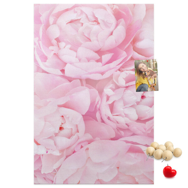 Kork-Pinnwand mit Motiv von zarten rosa Pfingstrosen in voller Blüte