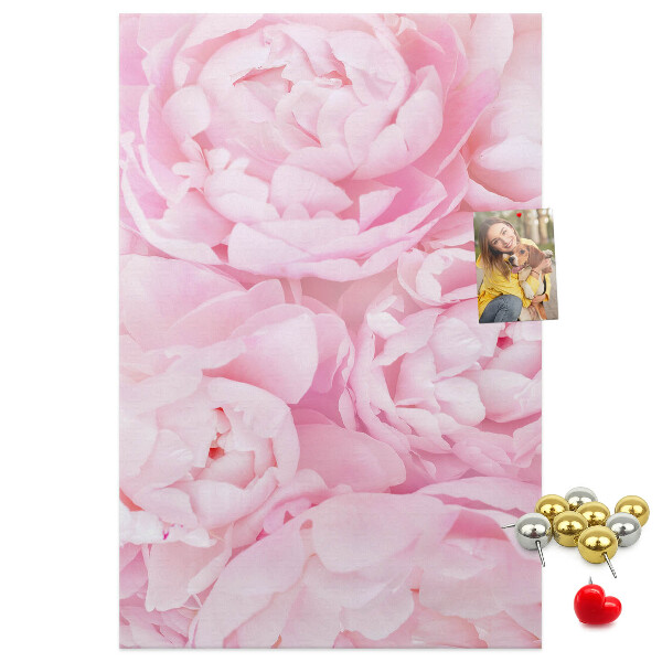 Kork-Pinnwand mit Motiv von zarten rosa Pfingstrosen in voller Blüte
